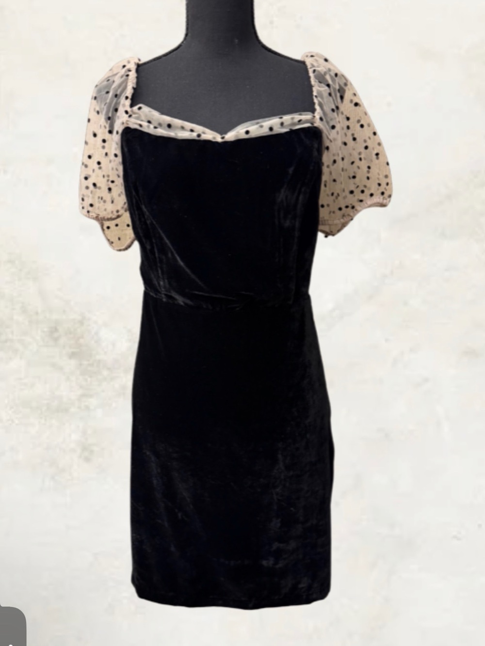 Camila Coelho Black Velvet Mini Dress with Cream Polka-Dot Sheer Sleeves